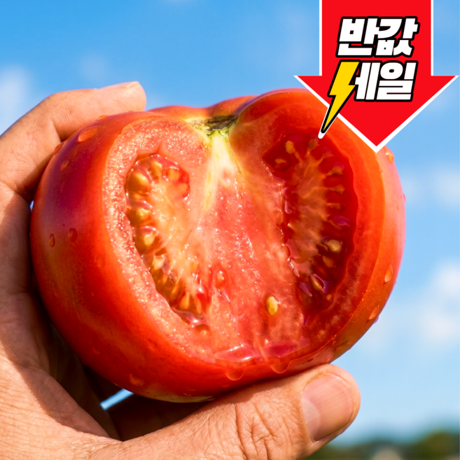 [한정특가] 딱50명만 천상의맛 특품 완숙토마토, 1개, 10kg