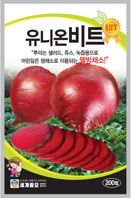 주주씨앗 당근 비트 콜라비 / 그린콜라비 / 레드올레 / 비트 / 빨강당근 / 노랑당근 / 봄당근 / 뿌리채소 / 씨앗 / 텃밭씨앗 / 베란다텃밭 / 씨앗키우기 / 주말농장, 5. 유니온비트 200립, 1개