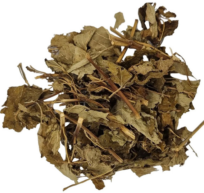 엄선한 레몬밤(6kg)-국내, 6kg, 1개