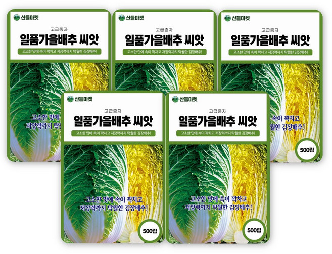 산들마켓 일품가을 배추씨앗 500립 속이 꽉차고 저장력 좋은 국내산 김장배추씨 종자, 5개