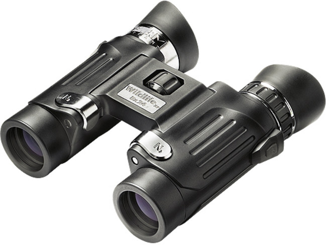 스테이너 와일드라이프 XP 8x24 DCF 컴팩트형 쌍안경 오페라글라스 공연 콘서트 스포츠 관람 망원경, 단품