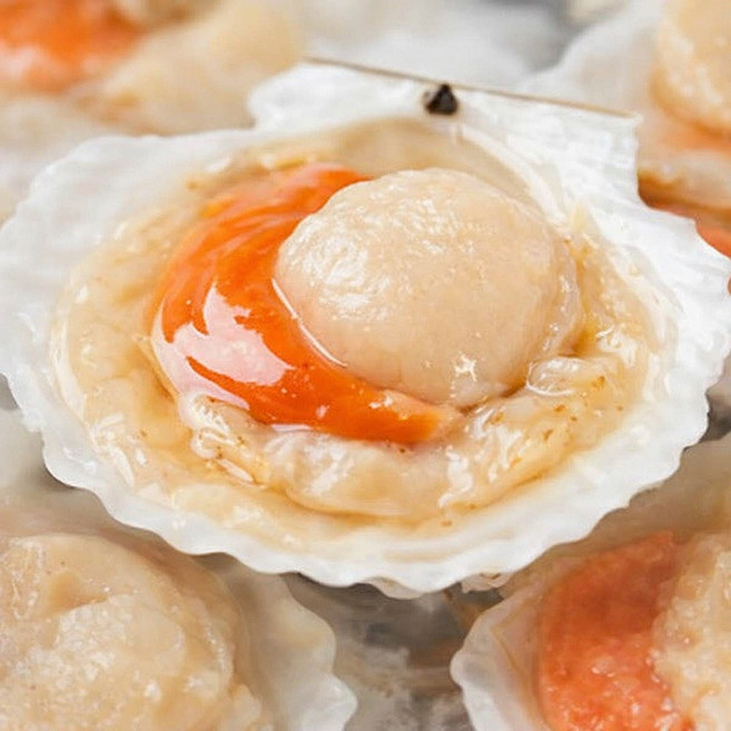 [전국최저가] 홍가리비 쫄깃쫄깃 통영 가리비, 1개, 1kg