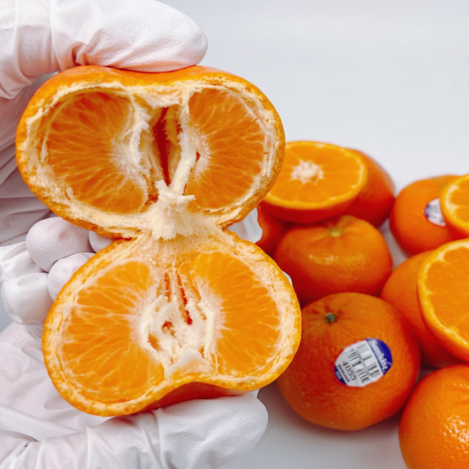 최대14브릭스 고당도선별 미국산 감귤 만다린, 1박스, 1kg