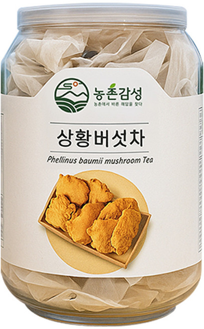 농촌감성 상황버섯차 국산 건강차 티백차, 1개, 20개입, 1g