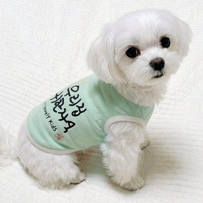 도기코디 귀한자식 나시 강아지 여름옷, 민트, 1개
