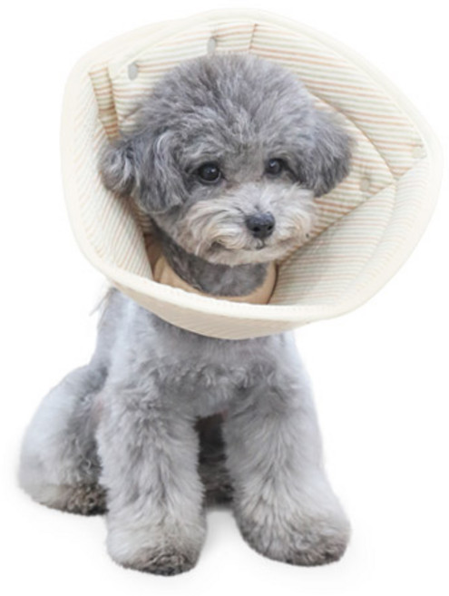 자연생각 개놀자 오가닉 펜타곤 넥카라 오트밀 XL, 1개