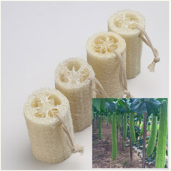 천연수세미, 1개, 1개입