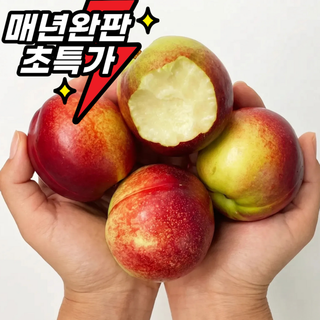 천도복숭아 고르는 법 — 구매 전 체크리스트 2026