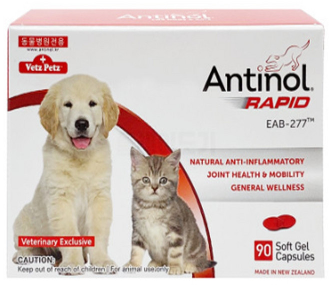 안티놀 래피드 강아지 고양이 관절 조인트 영양제