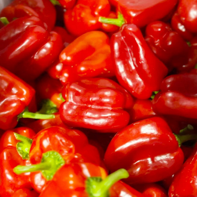 특품 농수산 국내산신선한빨간파프리카 빨강파프리카 경매 빨간피망 진주 1kg 3kg 5kg, 1개