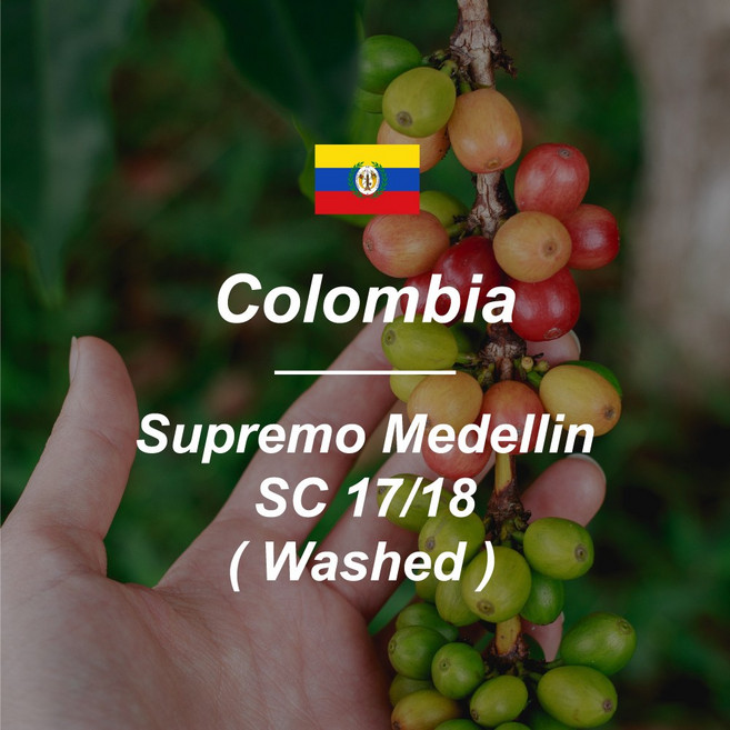 [커피생두] 콜롬비아 슈프리모 메델린 SC17/18 1KG, 1개