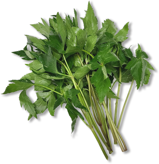 [허브온] 당귀 / 16년간 전국 호텔 및 레스토랑 공급채소 케일, 1개, 500g