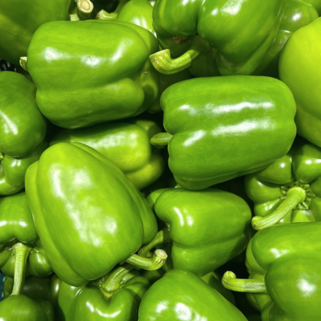 국내산 청파프리카 2kg 5kg 청피망 대체사용 가성비, 1박스, 청파프리카 5kg