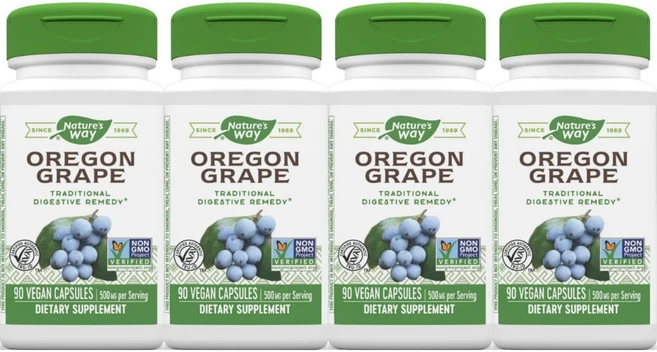 네이처스웨이 오리건 그레이프 포도 500mg, 90정, 4개 - 쿠팡