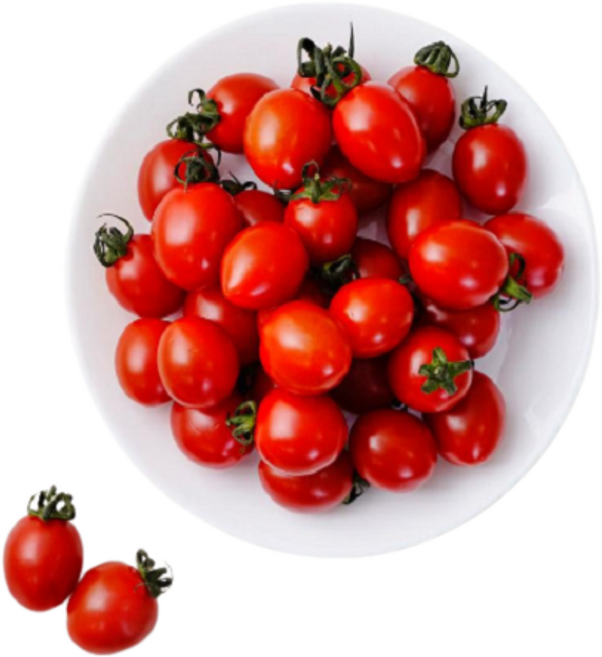 [지앤에프농업회사] 과즙빵빵 지금이제철 로얄과/소과 대추방울 토마토 당일발송 당일수확, 소과 1kg, 1박스