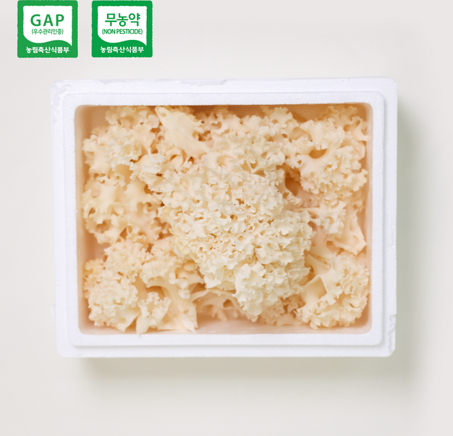 천기꽃송이버섯 생꽃송이버섯(유기농 GAP인증), 1개, 1kg