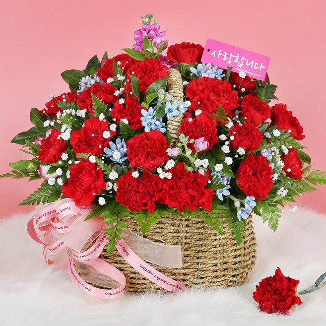 (오늘도착) 어버이날 카네이션 꽃바구니 레드카네이션 생화 부모님선물 어버이날선물 카네이션꽃바구니 효도선물 당일꽃배달 [ST-A1869]