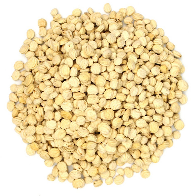 국산 인삼씨 인삼열매 진생베리, 200g, 1개