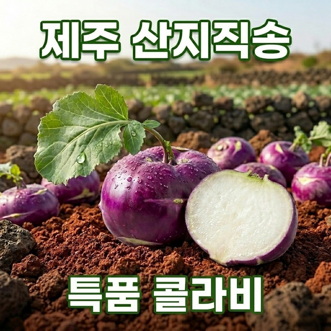 [맛없으면 환불] 고당도 제주산 콜라비 특품 콜리브리 로얄과, 1박스, 2kg