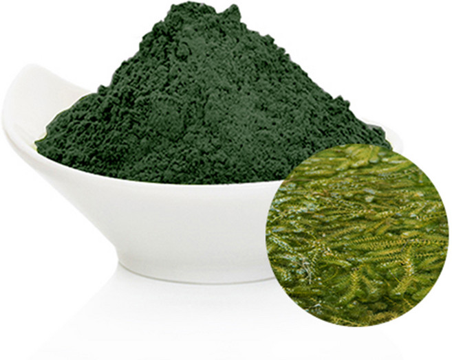 [GO5109 천연화장품비누재료] 스피루리나 분말(Spirulina Powder), 100g, 1개