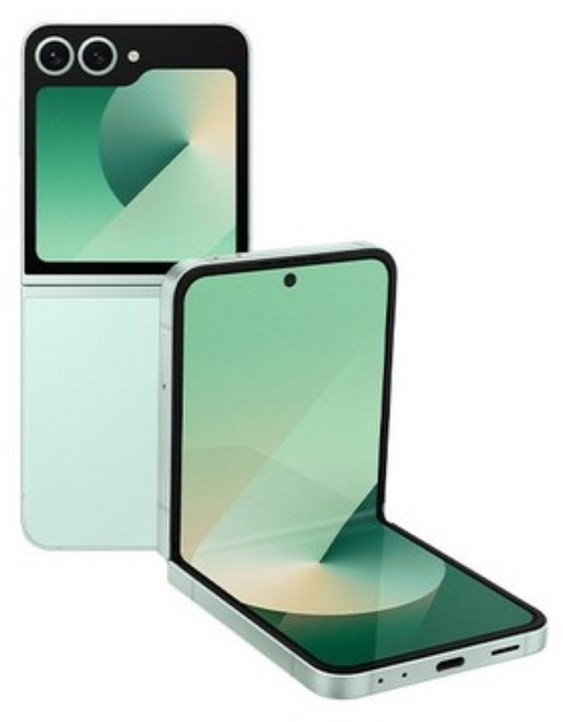 삼성전자 갤럭시 Z플립6 256GB (공기계) + 자체검수 및 전용패키지 [대단한형제들], 민트 사은품 4개증정 안심살균패키지