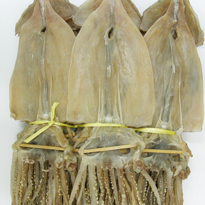 건어물천국 마른오징어 특대 건조오징어, 2.3kg (20미), 1개