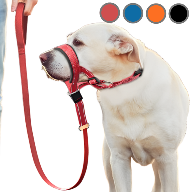 도다인몰 젠틀리더 반사판 벨트 대형견 중형견 소형견 목줄, 1개, 레드M