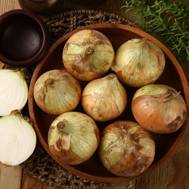 햇살조은 26년 국내산 아삭아삭 햇 양파, 1개, 양파5kg(소사이즈)