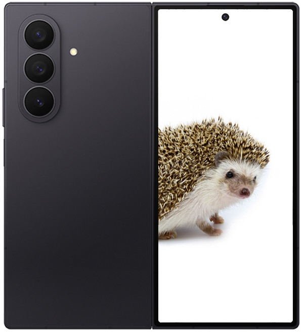 삼성전자 갤럭시 Z 폴드7, 256GB