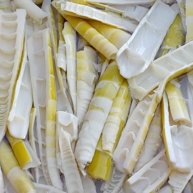 2026 담양 국내산 산지직송 냉장 삶은 햇 죽순 1kg 진공포장, 1개