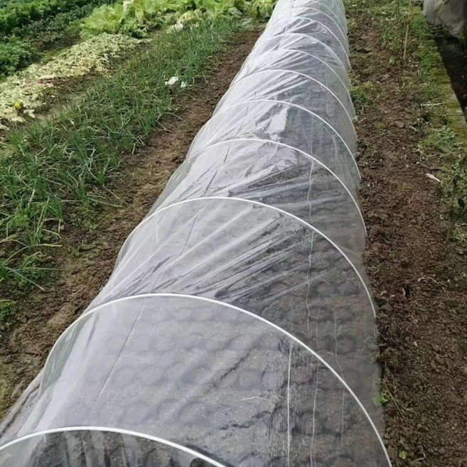 마이팜 농사용 재단비닐 텃밭 터널비닐 비닐하우스 1+1, 2Mx5M, 2개