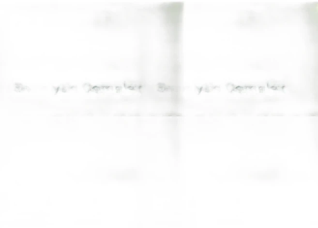 엘리시움 퀘르세틴 Quercetin 세놀리틱 복합체 캡슐 16정 1+1, 2개 - 쿠팡