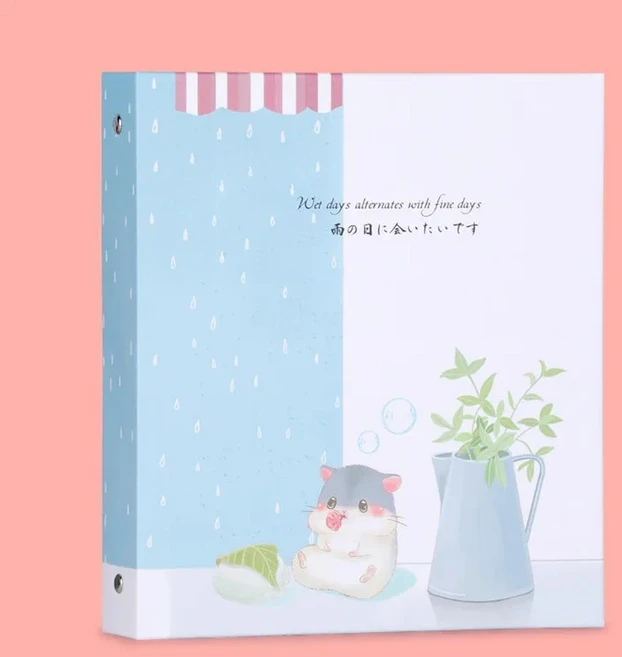식물 표본 수집 앨범 드라이 플라워 압화 보관 셀프 접착 커버 사진 루즈 리프 바인딩, 4. 작은 a5 [사진 20장] 40면 -.. - 쿠팡