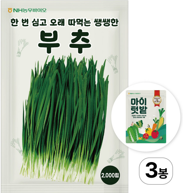 NH농우바이오 부추 씨앗 종자 2000립, 3개