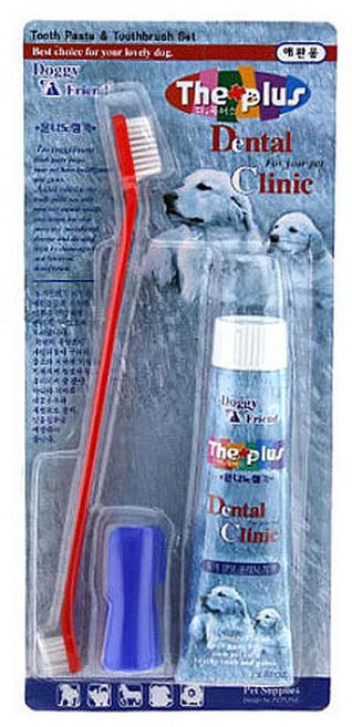 반려견 구취 치석 충치 제거 칫솔치약세트 2개 비숑 애견 대형견