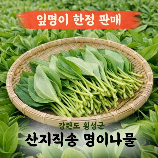 강원도 고랭지 명이나물 잎명이 산마늘, 1kg, 1박스