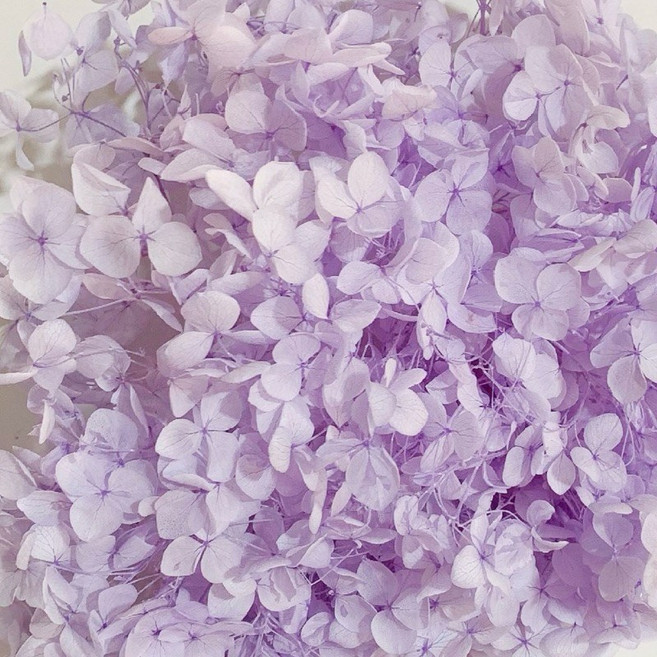 永生繡球花 乾燥花 手作美甲花材, 5克-紫