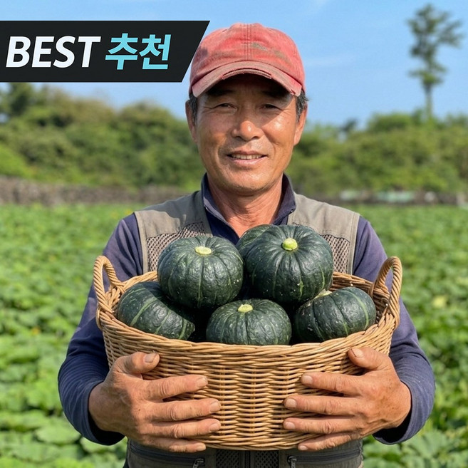 [재입고완료] 제주직송 SNS인기 밤맛폭발 제주미니밤호박, 1세트, 10kg