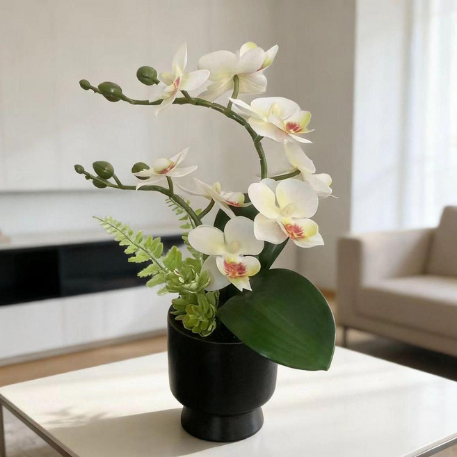 仿真花蝴蝶蘭盆栽 陶瓷盆擺件, 白色,仿真花1盆, 1個