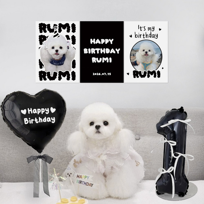 파티아일랜드 몽글 포토 포스터 생일 파티 세트 블랙 A4 포토존 강아지 고양이, 1세트, 40cm 숫자 풍선 블랙 5