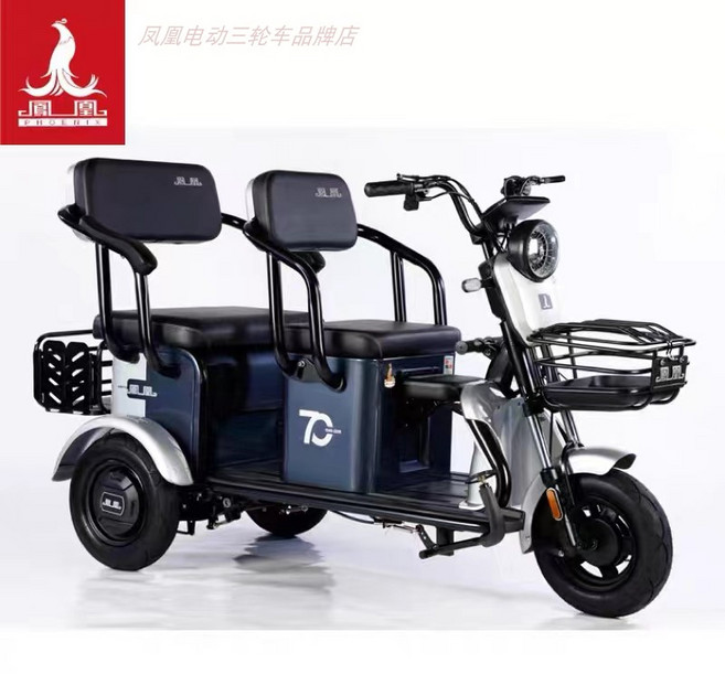 전기 세발 자전거 가정용 노인 골프 카트 100w 48V 자토바이 유치원 학교 등하교 픽업, 실버600w모터22ah블랙골드배터리약40-45km, 60V