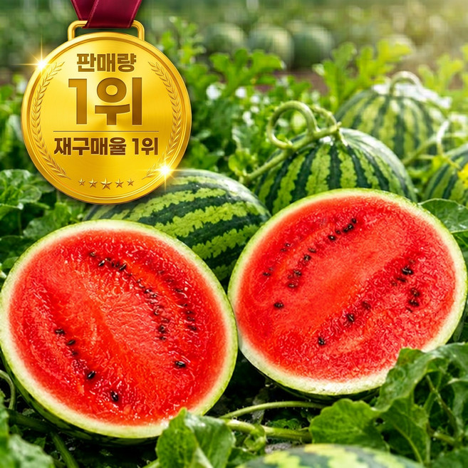[바른산지] 수확직송 하루 99박스 한정 초고당도 13brix 특상품 꿀수박, 1개, 8kg