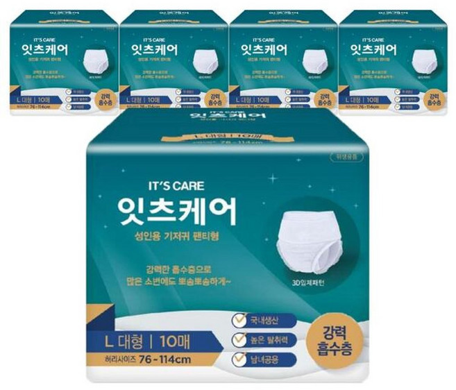 잇츠케어 성인용기저귀 팬티형 대형10Px5팩, 대형, 10개입, 5박스