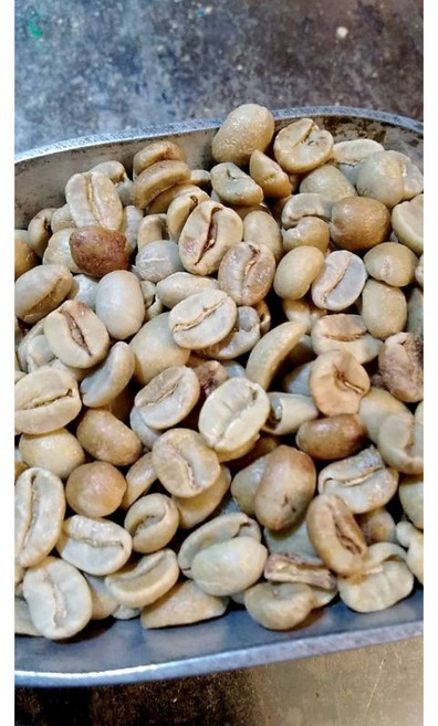 巴菲特 哥斯大黎加漫步莊園塔拉珠咖啡生豆 300g 2025新批次 低瑕疵手挑精選, 1個, 生豆,300g