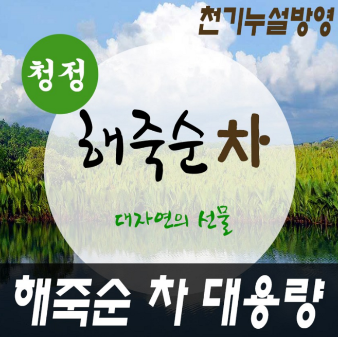 해죽순 꽃봉오리차 우주물산 대용량 (천기누설방영), 100G x 6봉, 6개, 100g, 1개입