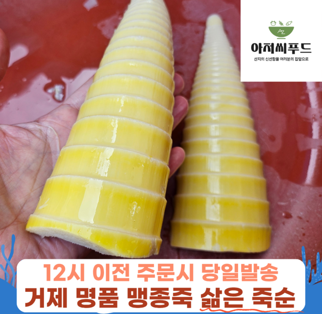 국내산 거제 삶은 죽순 아삭한 제철 손질완료 저칼로리 냉동 급냉, 1개, 500g