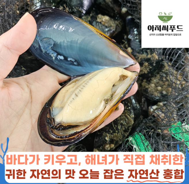 [당일수확 한정수량] 거제 해녀채취 자연산 홍합 생홍합 담치 섭 제철 홍합탕용, 1개, 홍합 1kg (30미내외)