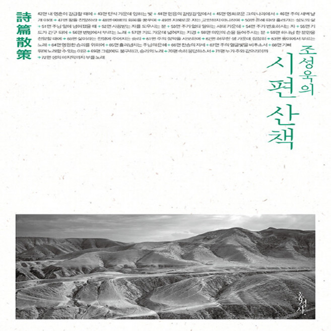 홍성사 새책-스테이책터 [조성욱의 시편 산책]-홍성사-조성욱 지음-예배/기도/묵상(QT)-20220415 출간-판형 128x, 조성욱의 시편 산책, NSB9788936515232