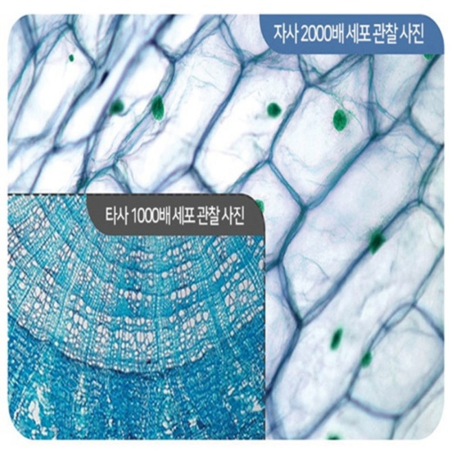 디지털현미경(2000배율)/JS-50118