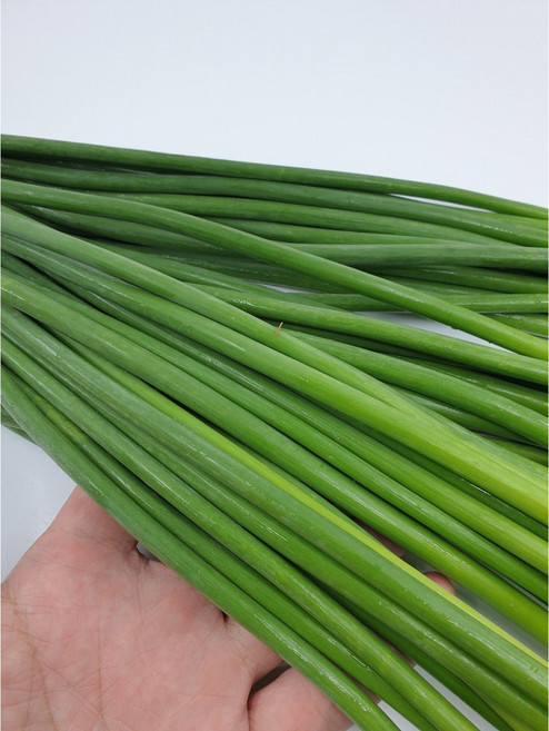 신선 최상급 마늘쫑 마늘종 햇마늘 수입, 1kg, 1개